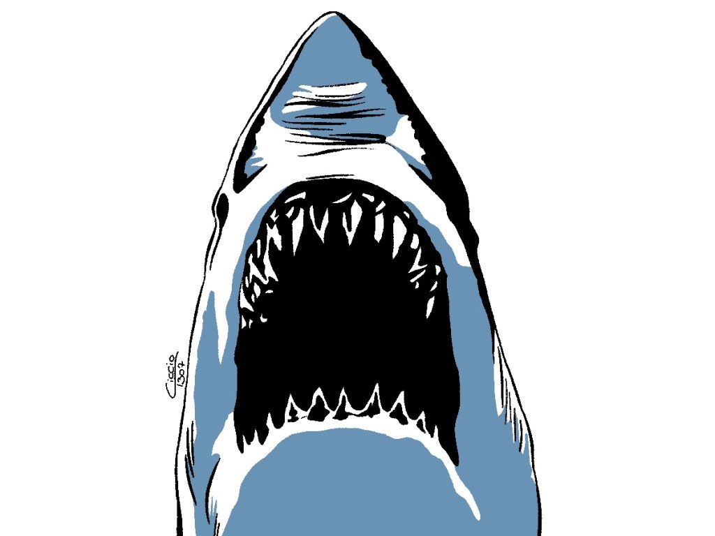 IL MALE VIENE DAL MARE: LE VERE PAURE DIETRO&nbsp;JAWS
