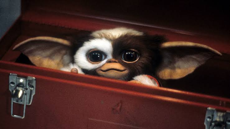 IL VERO GIZMO ALL’ASTA: IL MOGWAI PIÙ FAMOSO DEL CINEMA TORNA A FAR IMPAZZIRE I&nbsp;COLLEZIONISTI