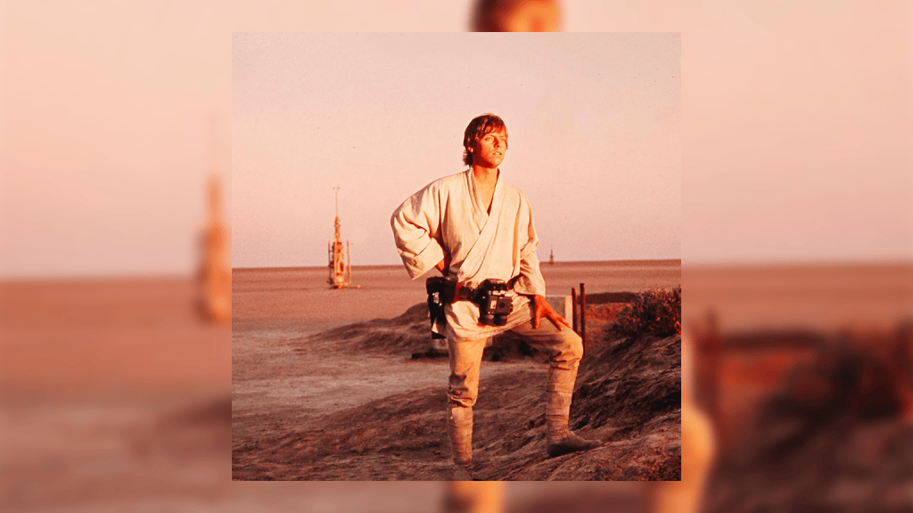 LUKE SKYWALKER VINTAGE DI KENNER STA PER ESPLODERE ALL’ASTA E I COLLEZIONISTI SONO IN&nbsp;DELIRIO